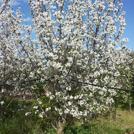 Sa Spendula Villacidro