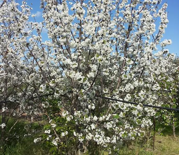 Sa Spendula Villacidro